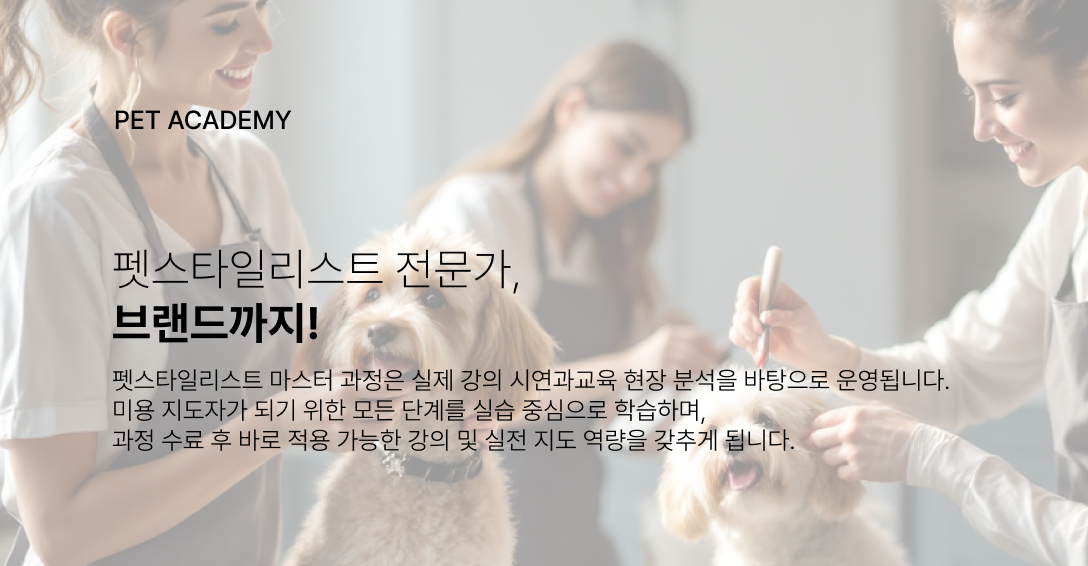 전문가mo